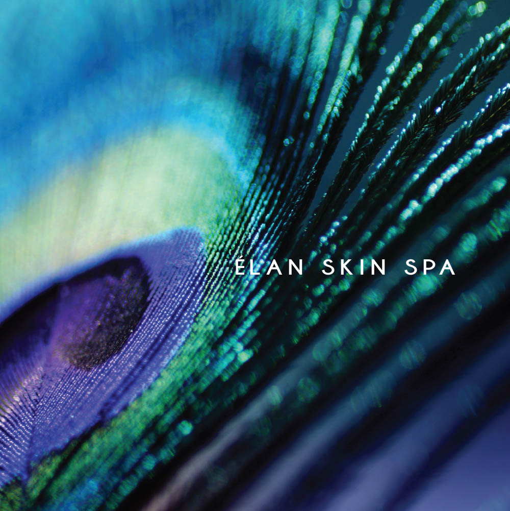 Elan Skin Spa Catalog